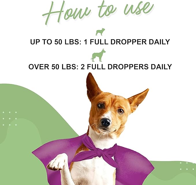 Milk Thistle, Liver Support for Dogs, Supports Kidney Function for Pets, Detox, Hepatic Support, with Wild Alaskan Salmon Oil & Curcumin, Omega 3 EPA & DHA (2, Ounces)