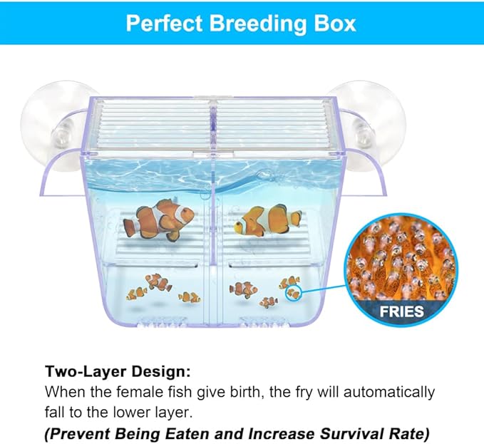 Fish Breeding Box Aquarium Holding Tank Transparent Fish Isolation Box Acclimation Hatchery Incubator Breeder Box for Baby Fish Betta Shrimp Clownfish Guppy Small