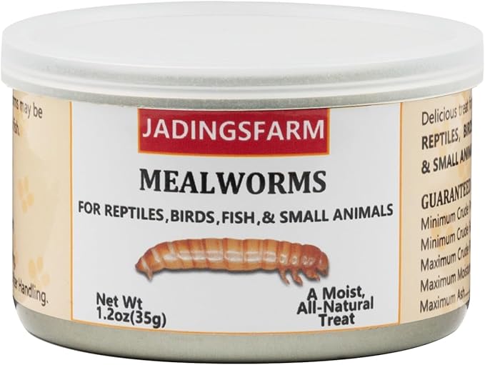 6 Pack Canned Mealworms for Reptiles, Fish, Birds and Small Animals, Meal Worms, Healthy High Protein Treat, Reptile Bird Fish Food 1.2 Ounces Each