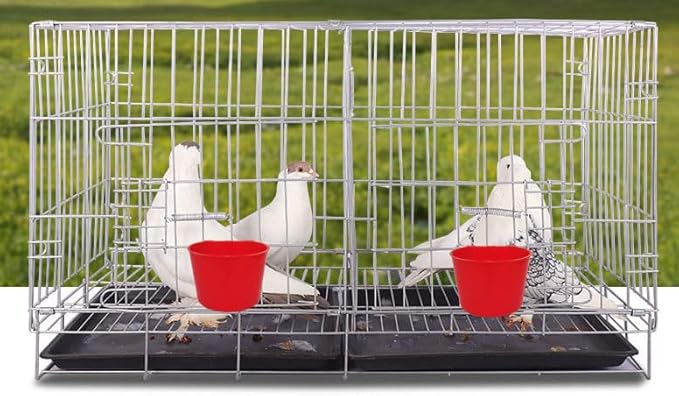 40 Pack Cage Cups Birds Feeders Seed Bowl Chicken Feeding Watering Dish Rabbit Water Food Hanging Wire Cages Box 8oz Coop Cups for Pet Parrot Parakeet Gamefowl Poultry Pigeon (Red)