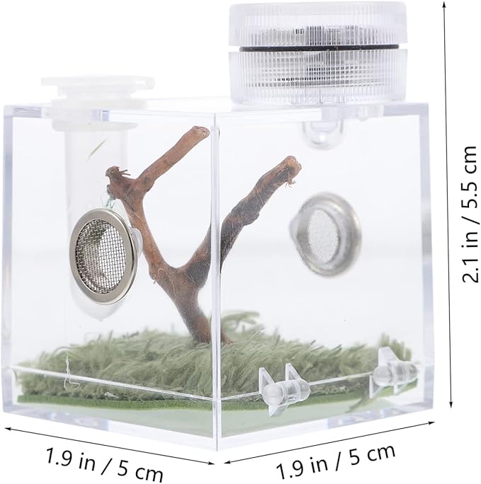 Mipcase 3pcs Box Jumping Spider Breeding Box Snail Spider Habitat Cage Jumping Spider Cage Jumping Spider Enclosure Small Humidifiers Spider Accessory Wood Little Spider Medium Acrylic