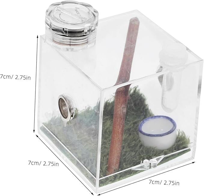 Mipcase 5pcs Box Jumping Spider Breeding Box Spider Habitat Cage Jumping Spider Enclosure Accessories Small Spider Enclosure Tarantula Enclosure Tank Acrylic Pet Little Spider Ceramics