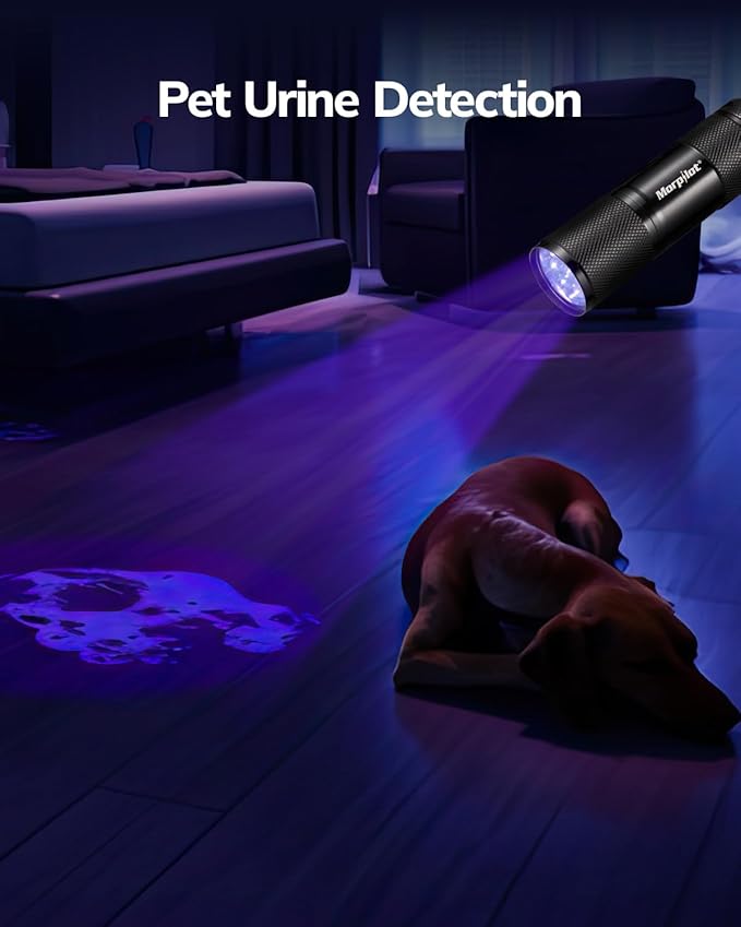 Morpilot Black Light Flashlight Mini UV Flashlight: 395nm Blacklight Flashlights, 9 Led Pet Urine Detector Light for Dog/Cat, Dry Stains, Resin Curing, Bed Bug