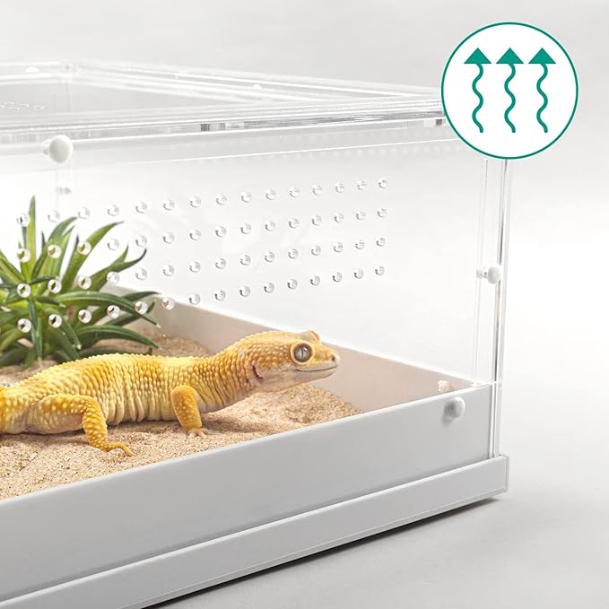 REPTI ZOO Large Tarantula Enclosure 16" X 12" X 6", Acrylic Reptile Terrarium Insect Feeder Box for Small Reptiles and Invertebrates, Mantis, Spider, Cricket, Tarantula