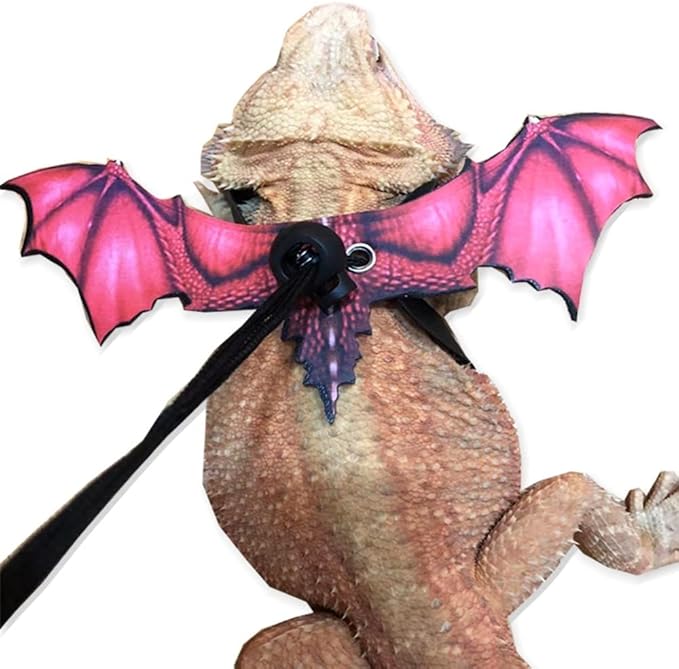 Bearded Dragon Leash, Adjustable Portable Reptile Leash with Cool Wings for Gecko, Bearded Dragon, Chameleon, Iguana, Hamster, Guinea Pig (S+M+L)