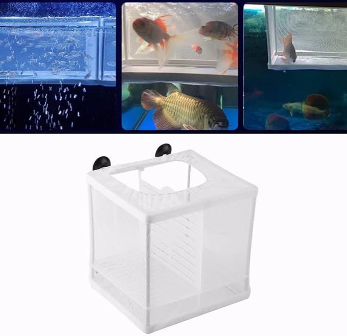 Fish Incubator Mesh Box Fish Isolation Box Aquarium Fish Breeding Box Fish Breeder Net Fry Hatchery Incubator Aquarium Divider Mesh with Suction Cup Isolation Board