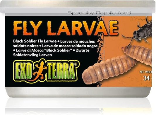 Exo Terra Specialty Reptile Food, Canned Black Soldier Fly Larvae for Reptiles