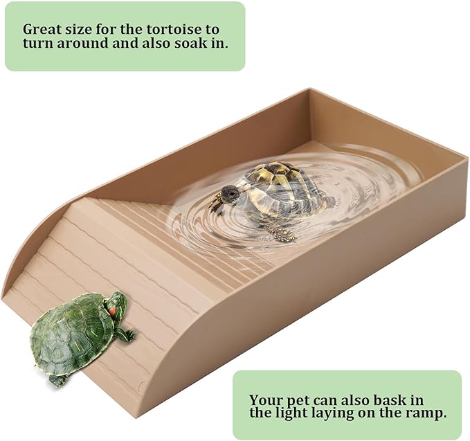 Reptile Tortoise Turtle Feeding Dish with Ramp and Basking Platform, Plastic, 14.17 in L x 7.87 in W x 2.44 in H