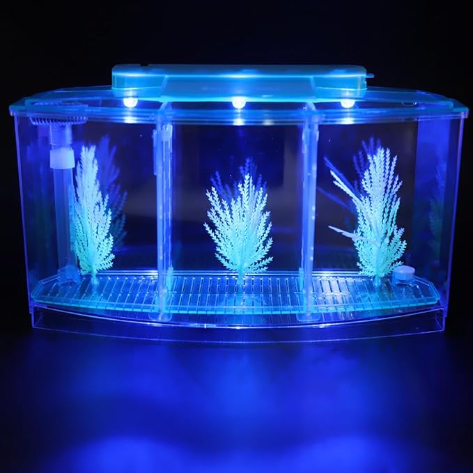 AYNEFY Mini Fish Breeding Box,Aquarium Fish LED Acrylic Three Divisions Small Fishes Isolation Incubator Breeding Hatchery for Guppy Shrimp Clownfish Fishes Betta(Blue)