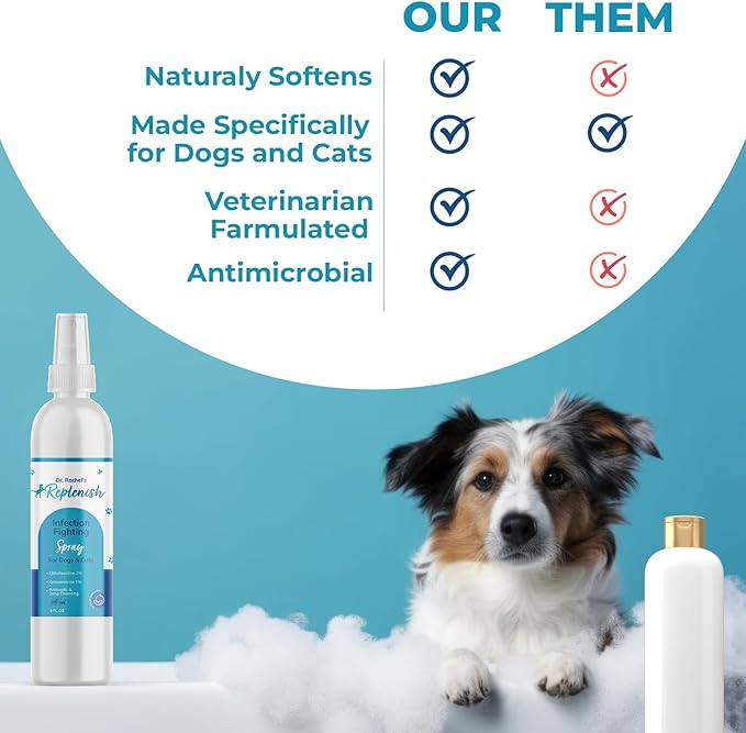 Replenish Skin Soothing Spray for Pets - Hot Spot Spray Treatment for Dogs - Dr. Rachel's Chlorhexidine, Ketoconazole, and Aloe Vera Formula for Dermatological Care in Dogs, Cats, and Horses - 8 oz