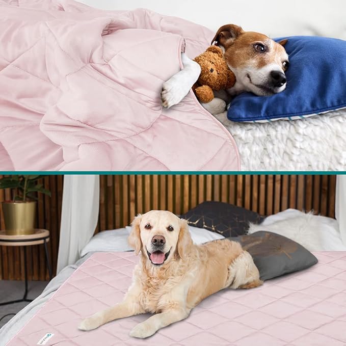 PetAmi Premium Cooling Dog Blanket | Lightweight Fluffy Pet Throw Blanket Bed Cover for Dogs, Cat, Puppies | Pet Blanket Furniture Protector Couch Sofa | Reversible Fuzzy Cozy | 60x80, Pink