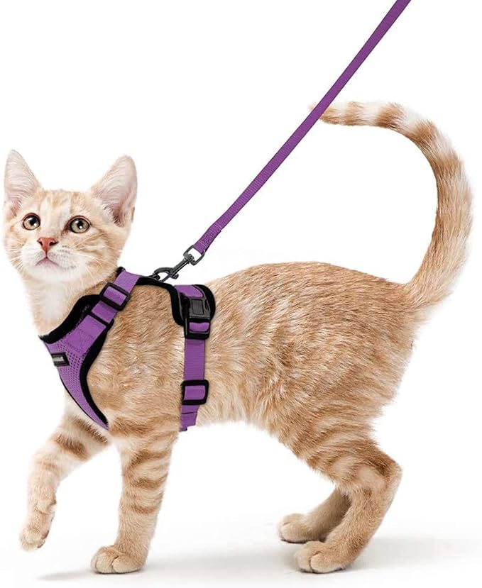 rabbitgoo Cat Harness and Leash for Walking, Escape Proof Soft Adjustable Vest Harnesses for Cats, Easy Control Breathable Reflective Strips Jacket, Purple, XS