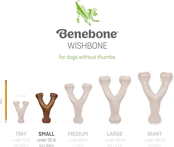 Benebone 2 Count (Pack of 1) Wishbone/Dental Durable Dog Chew Toys, Real Bacon, Made in USA, Small