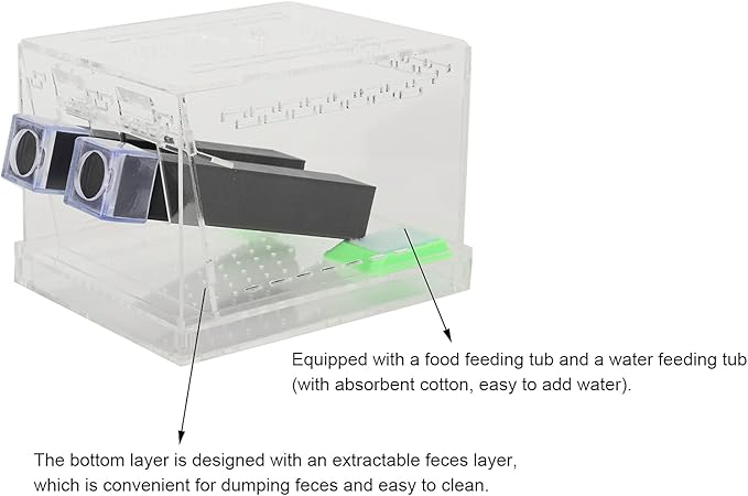 Cricket Keeper, Acrylic Feeding Cricket Keeper with Tubes Feces Layer, Easy to Clean Cricket Care Kit for Observation of Breeding(L)