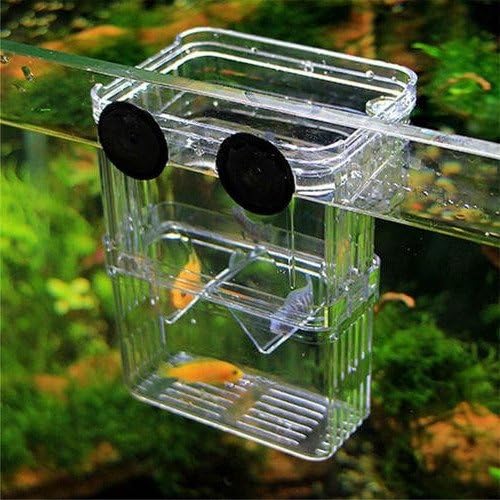 Plastic Fish Isolation Box Multi-Functional Breeding Hatchery Incubator Box