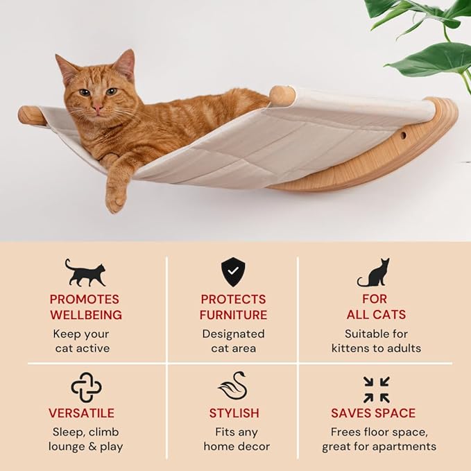 7 Ruby Road Cat Hammock Wall Mounted Cat Shelf with Two Steps - Cat Wall Shelves and Perches for Sleeping, Playing, Climbing, and Lounging - Modern Cat Bed & Furniture for Large Cats or Kitty