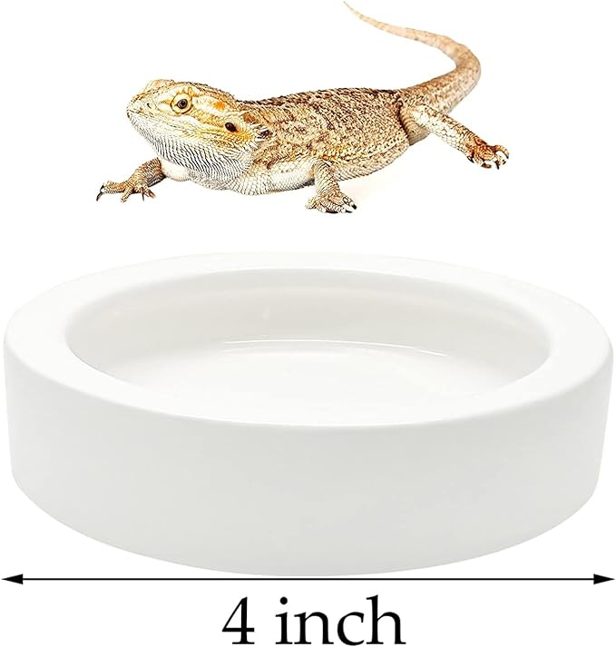 2 Pcs Reptile Food Bowl Ceramic Water Feeder Bowls Anti- Escape Mini Reptile Feeder for Lizard, Gecko etc, Round