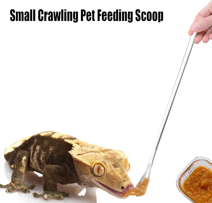 2 Pcs Crested Gecko Food Mixing Spoon Reptile Stirring Food Feeding Spoon Suitable for Crested Geckos, Lizards, Bearded Dragons,Chameleons and Other Reptiles