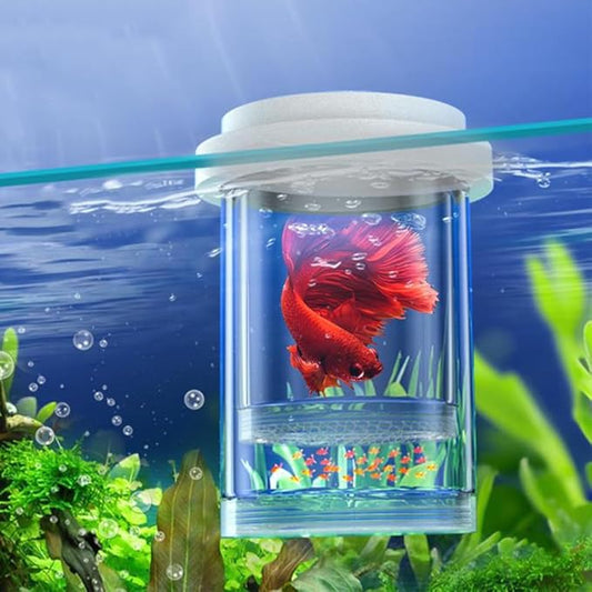 Aquarium Fish Tank Hatchery Incubator Breeding Box, Fish Spawning Room Breeding Box with Layering Breeding Tank Baby Fishes Shrimp Clown Fish 5.1 * 3.9 * 3.9 inch