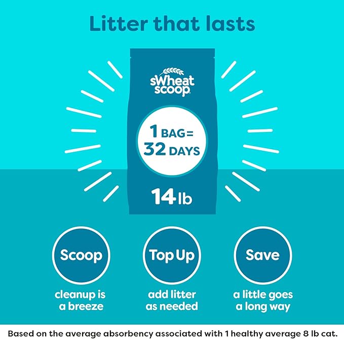 Natural Wheat Cat Litter, Original, Fast Clumping with Odor Neutralizing Enzymes, 14 Pound Bag