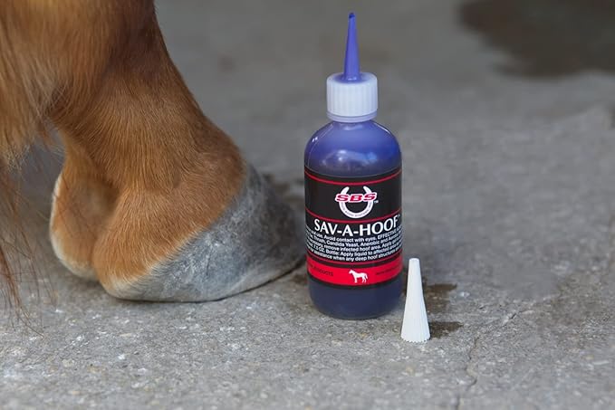 SBS Equine | SAV-A-HOOF Gel II | Hoof Treatment | Long-Lasting Time Release Formula | No Messy Waste or Run-Off (4 Fluid Oz)