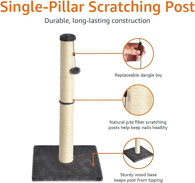 Amazon Basics Cat Scratching Post, Medium, 15.75" x 15.75" x 31.5"H, Grey