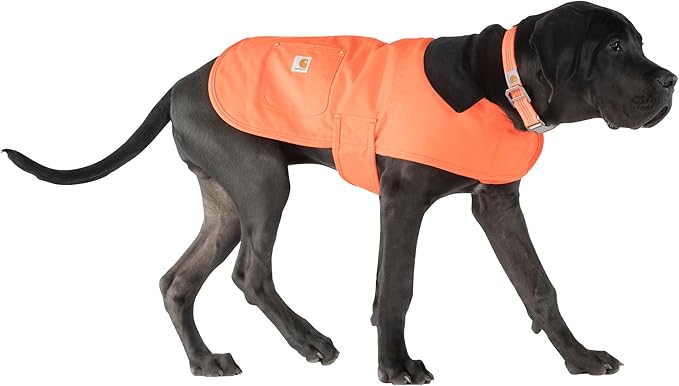 Carhartt Firm Duck Insulated Dog Chore Coat Hunter Orange/Brass