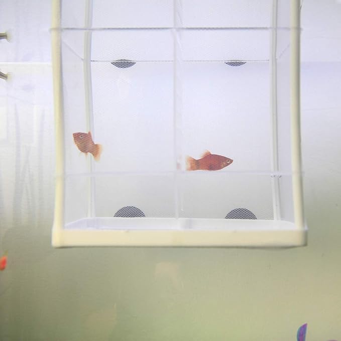 Senzeal Aquarium Fish Breeder Box Fish Fry Hatchery Incubator Net Nylon Isolation Mesh with 3pcs Pipette(Small)