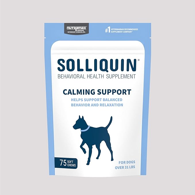 Nutramax Solliquin Calming Behavioral Health Supplement for Large Dogs - with L-Theanine, Magnolia/Phellodendron, and Whey Protein Concentrate, 75 Soft Chews