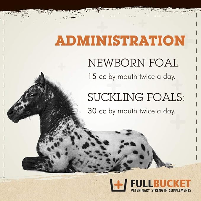 Foal Probiotic Paste (Single)