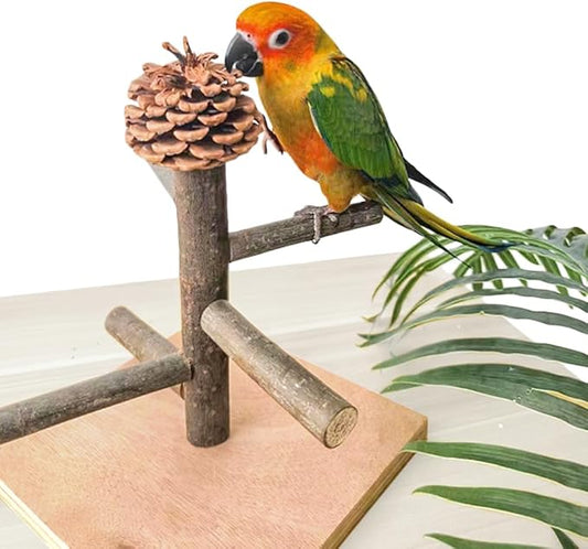 Bird Perch Stand, Portable Tabletop Bird Play Stand Parrot Training Perch for Parakeets Conures Lovebirds or Cockatiels