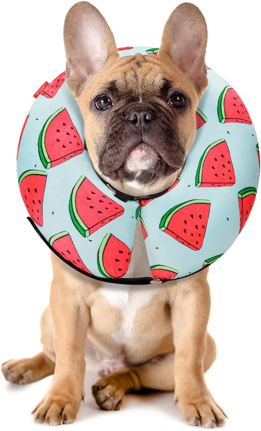 Dog Cone Collar for Small Medium Large Dogs for After Surgery, Pet Inflatable Neck Donut Collar Soft Protective Recovery Cone for Dogs and Cats - Alternative E Collar Does Not Block Vision - Cyan,M