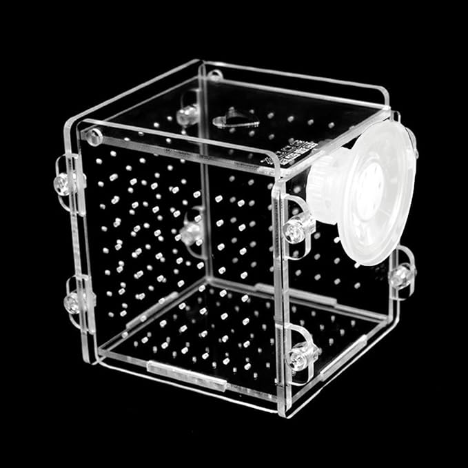 Fish Breeding Box, Acrylic Aquarium Isolation Box Fish Breeder Box with Suction Cup Aquarium Fish Hatchery Incubator for Newborn Baby Fry Shrimp Betta Guppy Clownfish