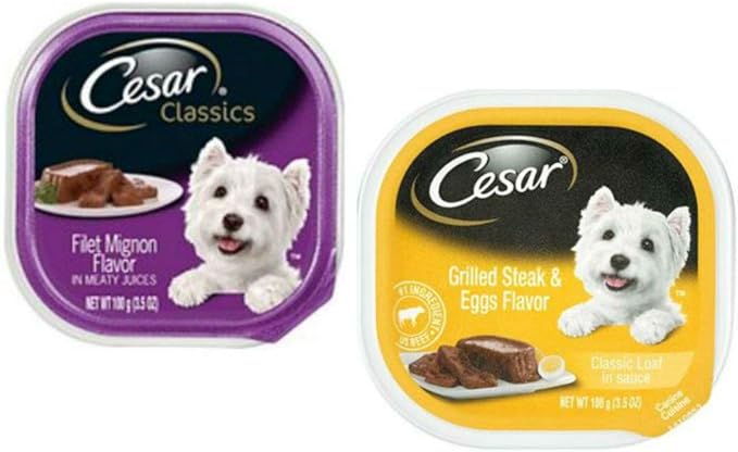 Cesar Classic Loaf in Sauce Wet Dog Food - 8 Flavor Variety Bundle, 3.5 Ounces Each - Pack of 8 Plus My Buddy Notepad (9 Items Total)