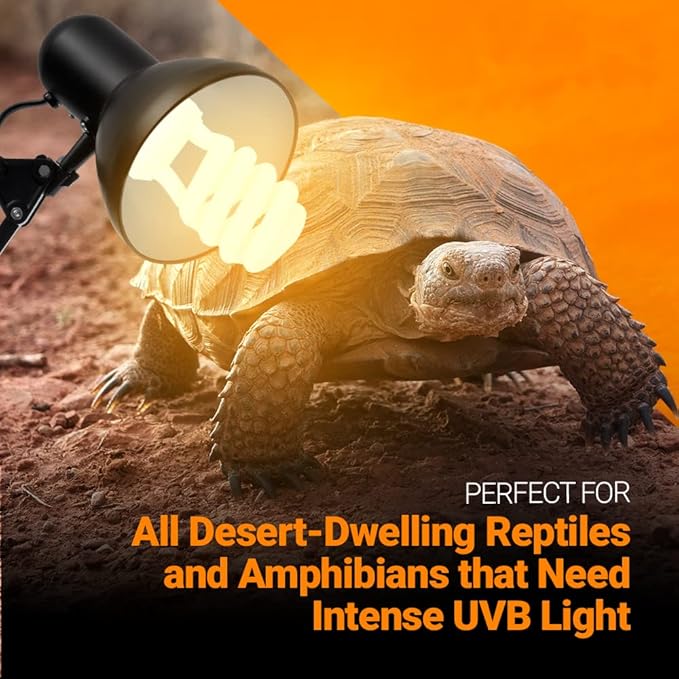 2 Pack 13-Watt Reptile Bulb Intense UVA UVB Light - 15.0 UVB Reptile Light Compact Florescent Terrarium Bulb Suitable for Desert Reptiles & Amphibians Promotes Natural Behavior CFL Bulb (13 Watt 15.0)