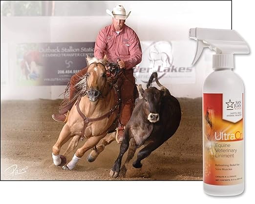 UltraCruz Veterinary Liniment Spray for Horses, 16 oz,sc-395404