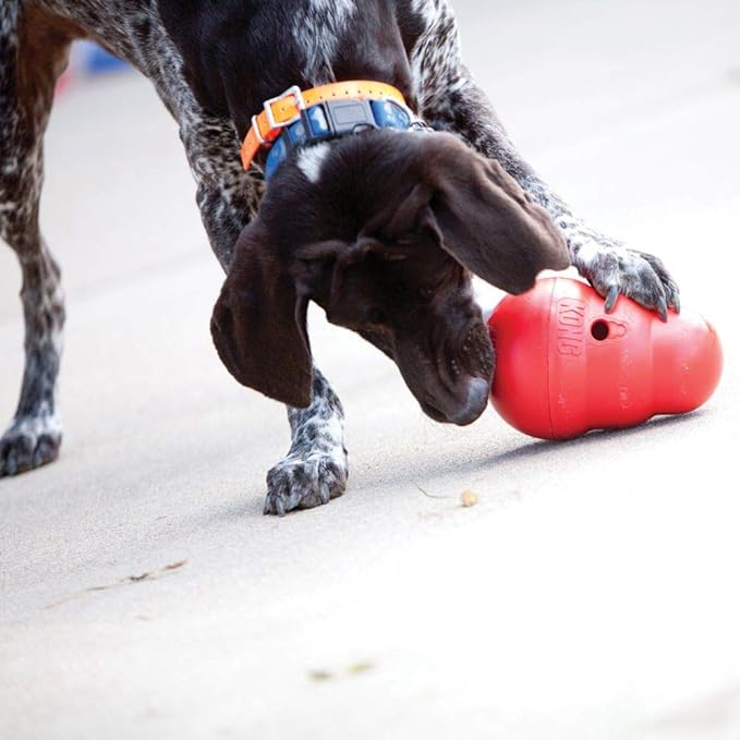KONG Wobbler - Interactive Dog Toy for Treat Dispensing - Dog Slow Feeder for Healthy Eating - for Medium/Small Dogs