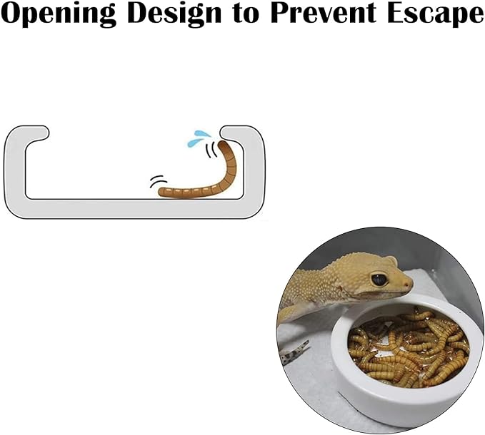 3 Pcs Reptile Food Bowl, Ceramic Water Feeder Bowl for Lizard Anoles Bearded Dragons Crested Gecko Hermit Crabs Triangular