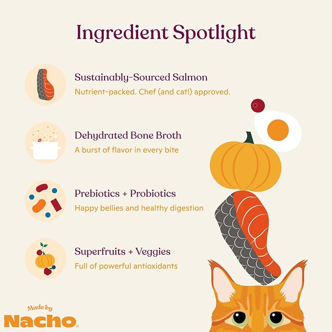 Made by Nacho Bone Broth Infused Dry Cat Kibble - Sustainably Caught Salmon and Pumpkin - Premium Grain-Friendly Cat Food 4lb Bag, Limited Ingredients