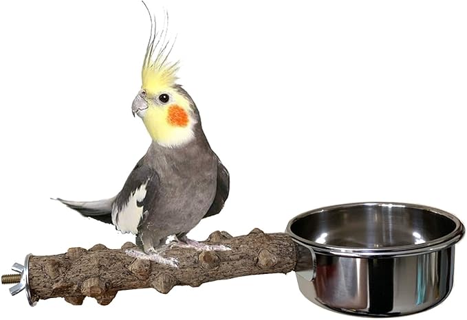 Vehomy Natural Wood Bird Perch with Bird Feeding Cups Bird Stainless Steel Food Water Bowls Dish Feeder for Cockatiel Conure Budgies Parakeet Parrot Bird platform Stand