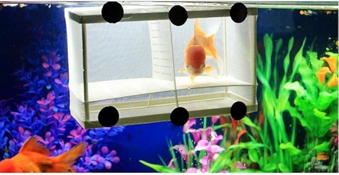 Aquarium Fish Hatchery Box, Small Fish Isolation net, Juvenile Fish breeding Box, Ornamental Fish Isolation Box, to Prevent Fish from Attacking Each Other, Injured Fish