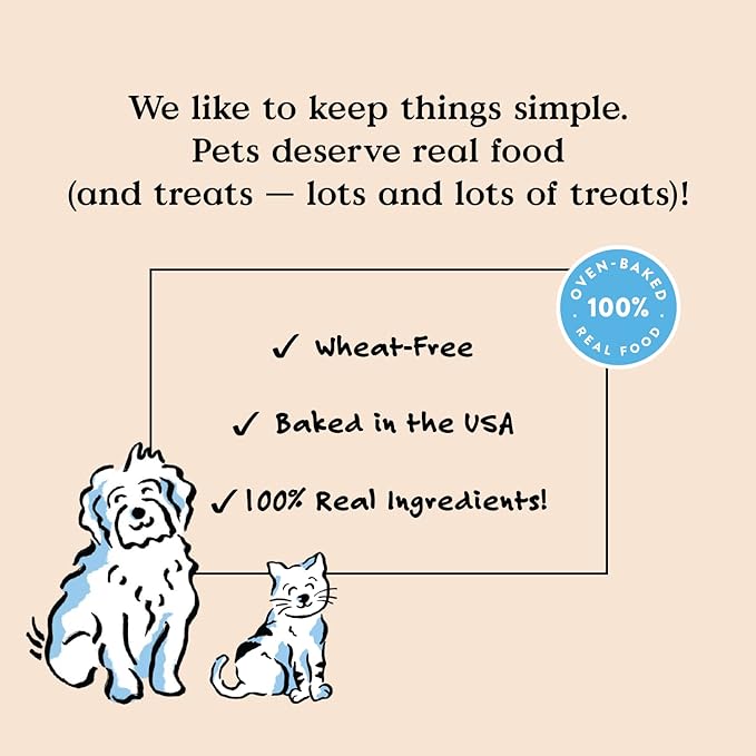 Bocce's Bakery Oven Baked Salmon Recipe Treats for Dogs, Wheat-Free Dog Treats, Made with Real Ingredients, Baked in The USA, All-Natural Salmon, Sweet Potato & Parsley Biscuits, 14 oz