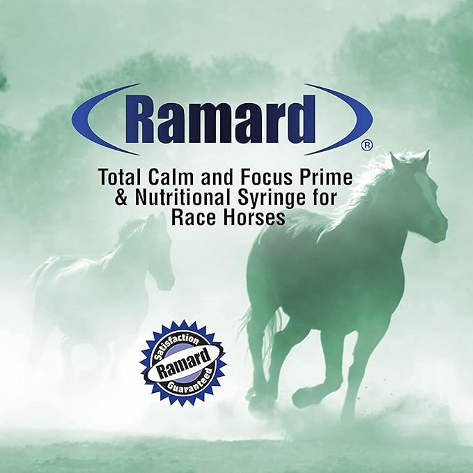 Total Calm and Focus for Horses Supplement - Magnesium & Calming Formula for Horse Show, Training, & Performance Mental Alertness without Drowsiness, Show Safe, Horses Perfect Prep 1oz Syringe