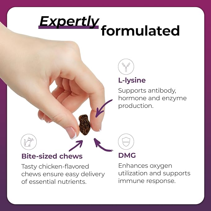 VetriScience Vetri Lysine Plus - 120 Chews - Immune Support Cat Supplements and Vitamins with L-Lysine and DMG for Immunity and Respiratory Health