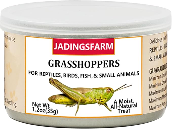 6 Pack Canned Grasshoppers for Reptiles, Fish, Birds and Small Animals, Grasshoppers, Healthy High Protein Treat, Reptile Bird Fish Food 1.2 Ounces Each