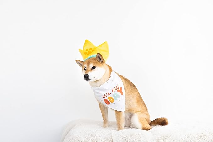 Pearhead Happy Barkday M/L Bandana Hat Set, Pet Birthday Gift, Dog Birthday Party Accessories, Party Hat and Bandana for Dogs, Pet Owner Must Have Accessories, Medium/Large
