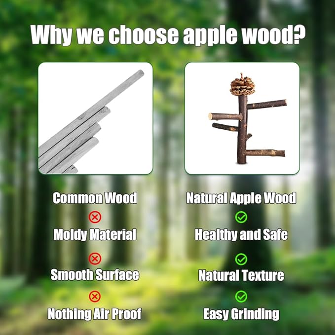 Bird Perch Stand, Portable Tabletop Bird Play Stand Parrot Training Perch for Parakeets Conures Lovebirds or Cockatiels