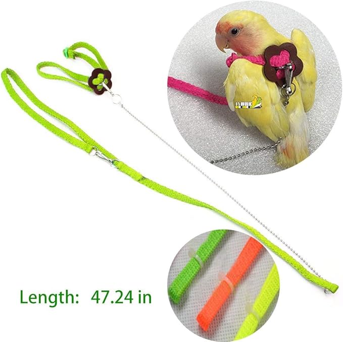 Bonaweite 2 Pack Adjustable Harness Leash, Pet Birds Nylon Anti-bite Training Hraness Outside Walk for Parrot African Grey Cockatoo Macaw Ringneck Parakeet Cockatiel Reptile Lizar