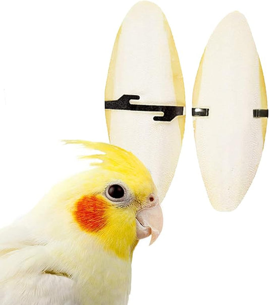SunGrow Large Cuttlefish Bones for Cockatiels, Turtles, Shrimp, Dog Calcium Supplement, Cage Holder Included, 2 Pieces per Pack