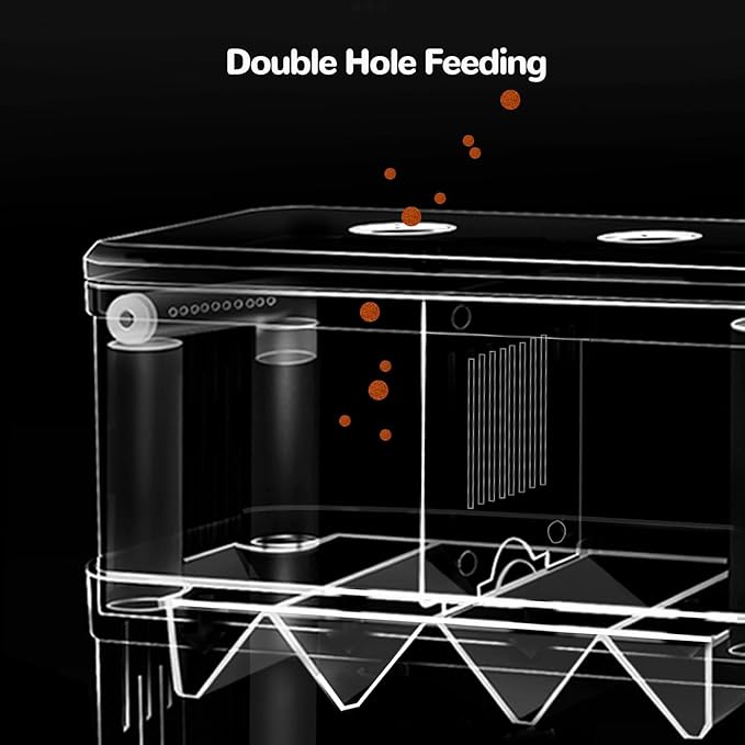 J-star Large Fish Breeder Box, Acrylic Aquarium Breeder Box, Fish Isolation Box for Betta, Guppy, Killifish, Shrimp, Clownfish etc.